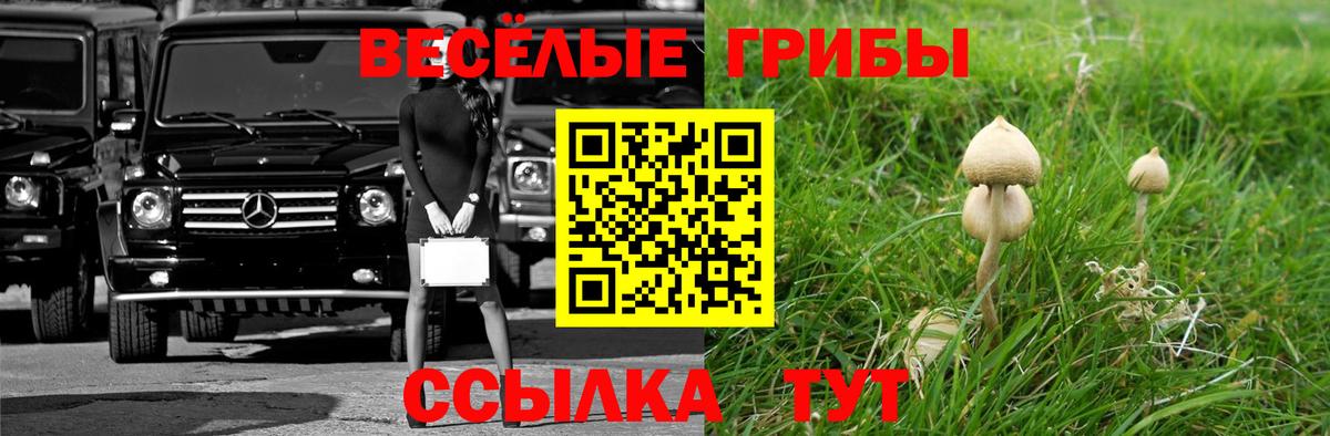 Павлово  Галлюциногенные грибы GOLDEN TEACHER  как найти закладки  Вход с VPN  Псилоцибиновые грибы ЛСД 